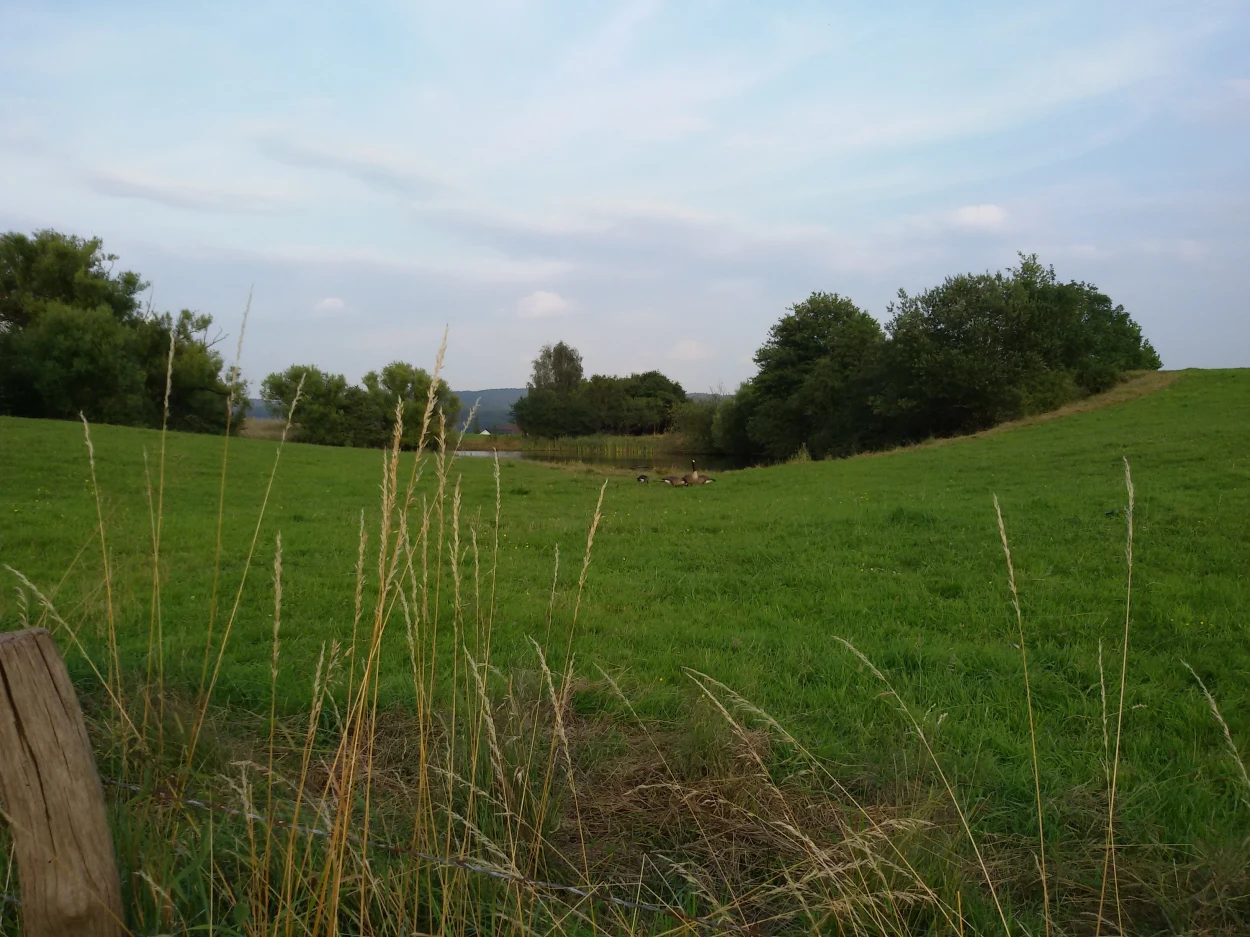 Kulturmomente rund um Schloss Homburg im Rheinland 1