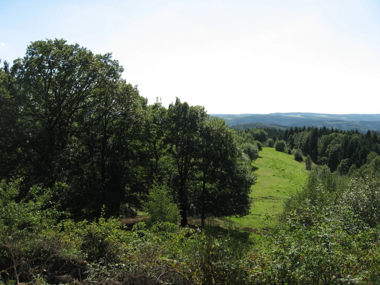 Naturabenteuer im Bergischen – Baumwipfelpfad erleben 1