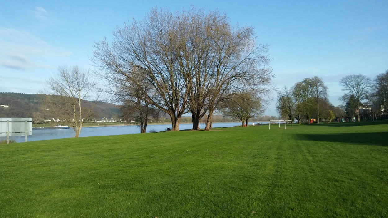 Rheinromantik und Drachenfels-Erlebnis nahe Bonn 1