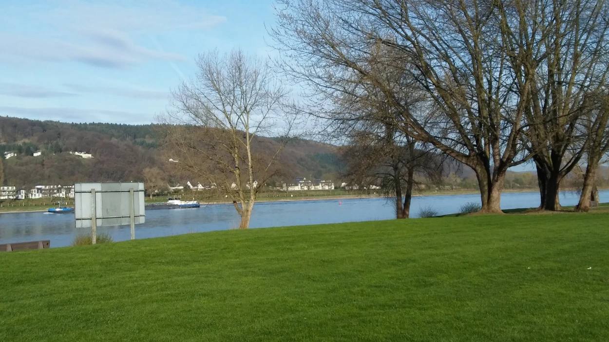 Tagesausflug auf dem Rhein zwischen Bonn und Köln genießen 1