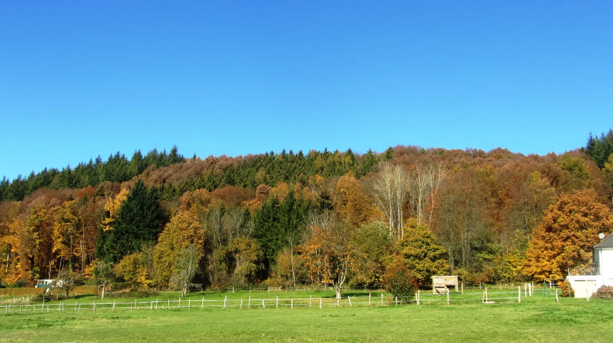 Familienabenteuer im Siegtal – Natur, Tiere und Ausflüge für alle 1