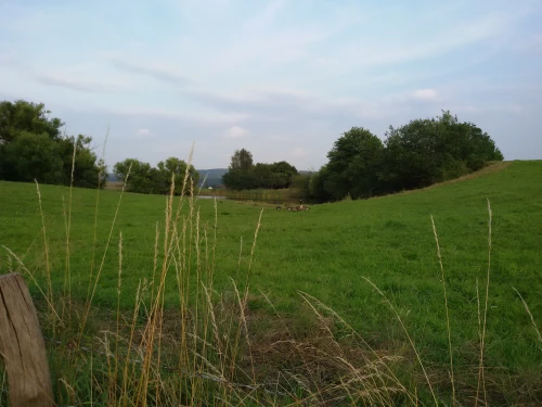 Kulturmomente rund um Schloss Homburg im Rheinland 1