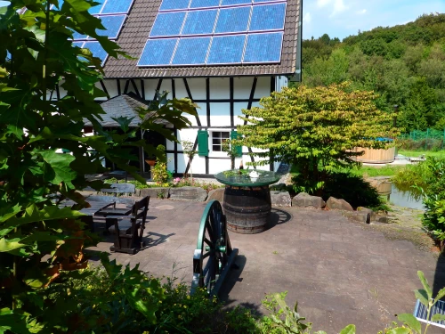 Rheinromantik und Drachenfels-Erlebnis nahe Bonn 4