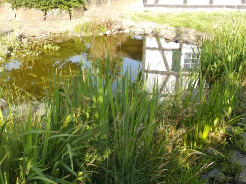 Wochenendtrip mit Freunden ins Ferienhaus im Grünen in NRW 2
