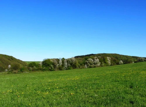 Wahnbachtalsperre – Naturerlebnis im Bergischen Land 1