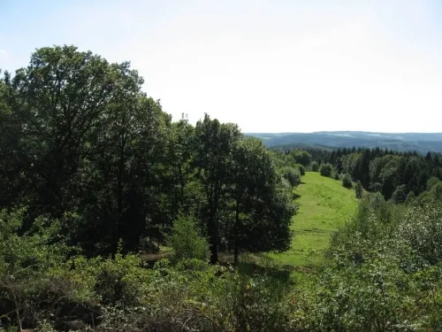 Leider keine Bildbeschreibung für umgebung-ennenbach-2-a82fb98a.jpeg vorhanden.