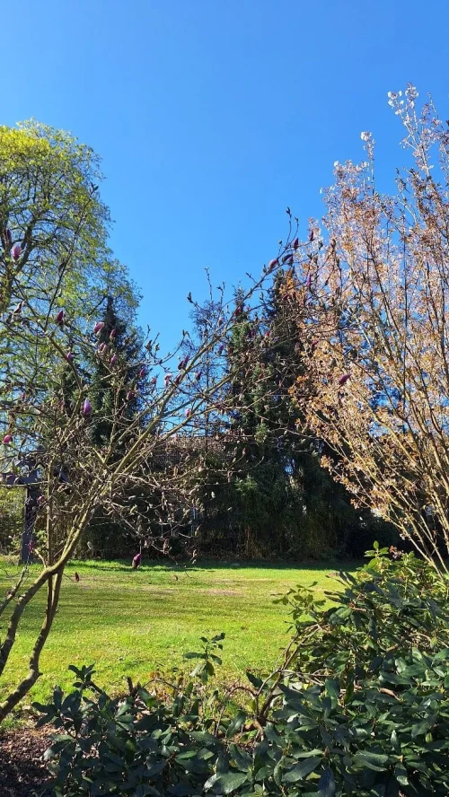 Entspannte Hundereise mit großem Garten in Ruppichteroth 4