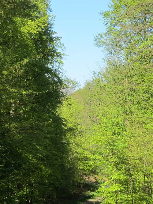 Golfmomente und Grillabende im Grünen im Bergischen Land 2